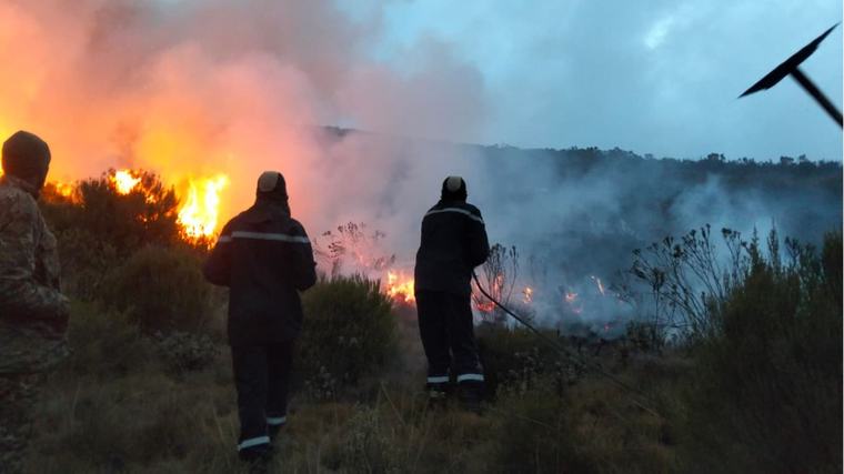Raging fire consumes 30,000 acres of moorland in Mt Kenya forest