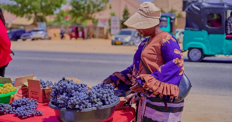 Dodoma Grape Farmers Lift Yields Nearly Sevenfold on the Same Land