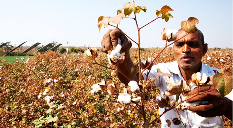 That Small AI tool which fits in the Indian farmers’ pockets