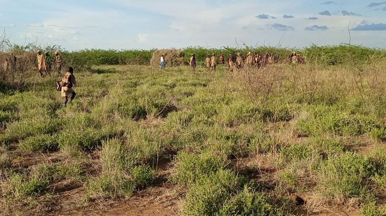 Turkana’s water miracle that never came