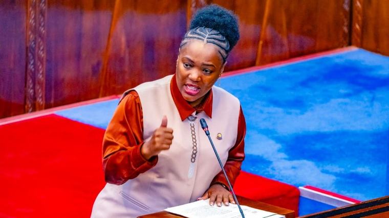 Tanzania to study new power substation in Igunga