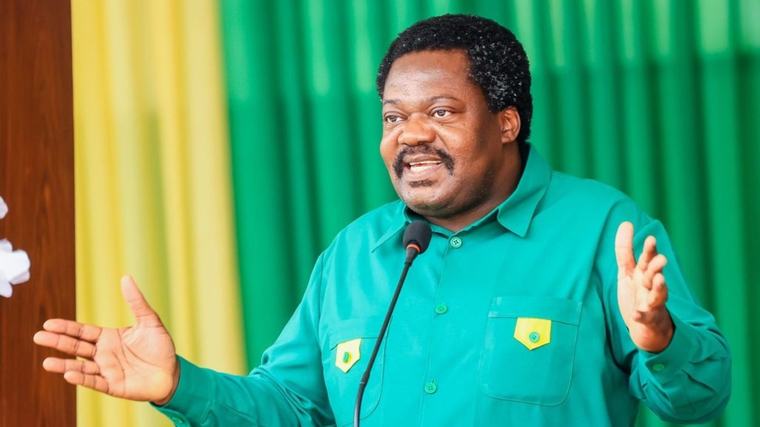 Nchimbi was facing CCM disciplinary action before resignation